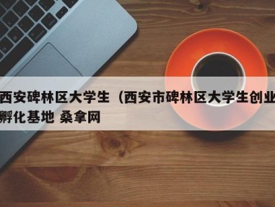 成都西安碑林区大学生（西安市碑林区大学生创业孵化基地 桑拿网